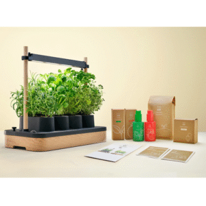 Auk Mini Bundle